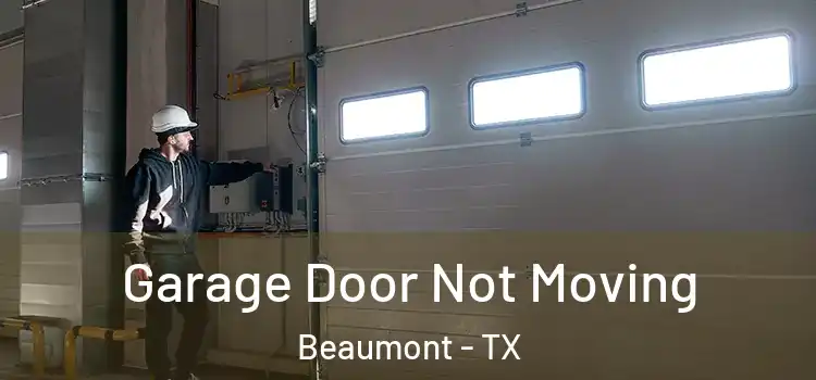  Garage Door Not Moving Beaumont - TX